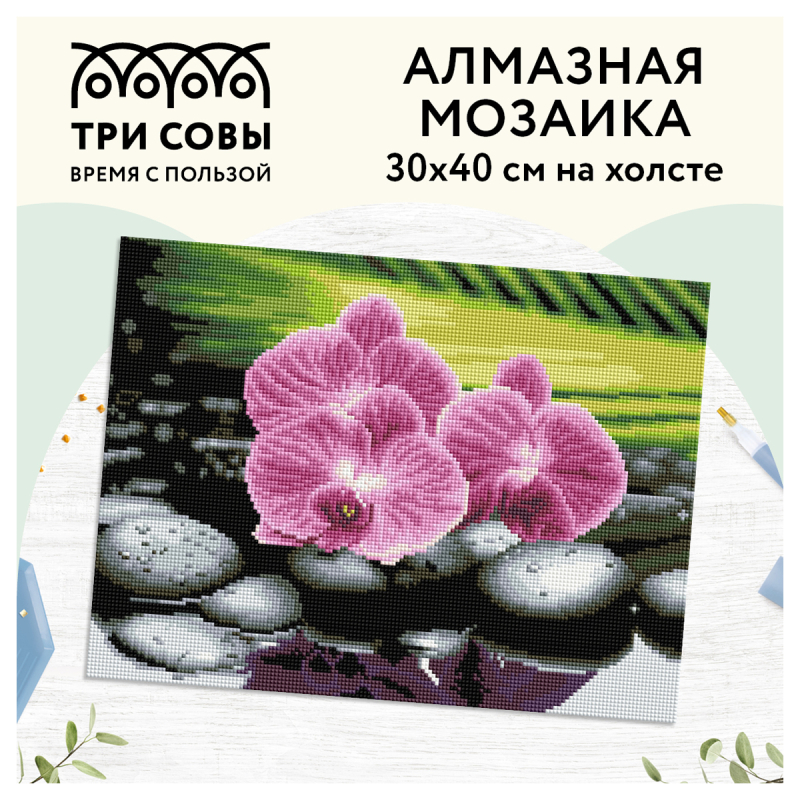 Алмазная мозаика ТРИ СОВЫ "Орхидеи на камнях", 30*40см, холст, картонная коробка с пластиковой ручко