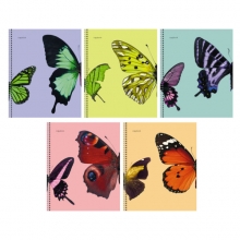 Тетради А5 48л. Butterflies
