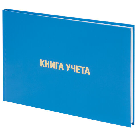 Книга учета 96 л., клетка, твердая, бумвинил, блок офсет, альбомная, А4 203х290 мм, BRAUBERG